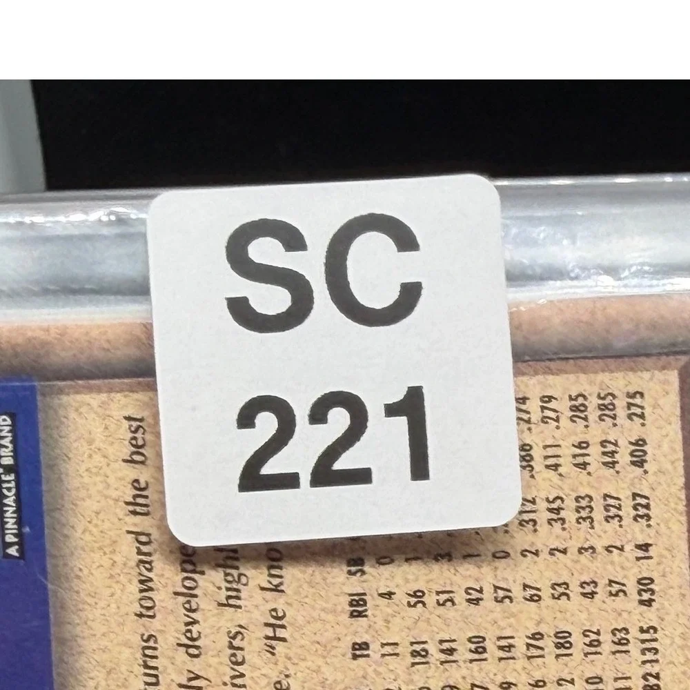 Score terry steinbach